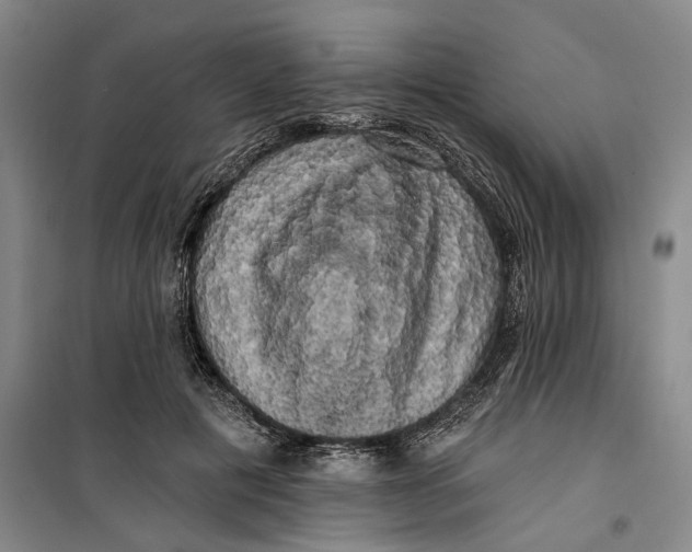 X0000099450601200805301514