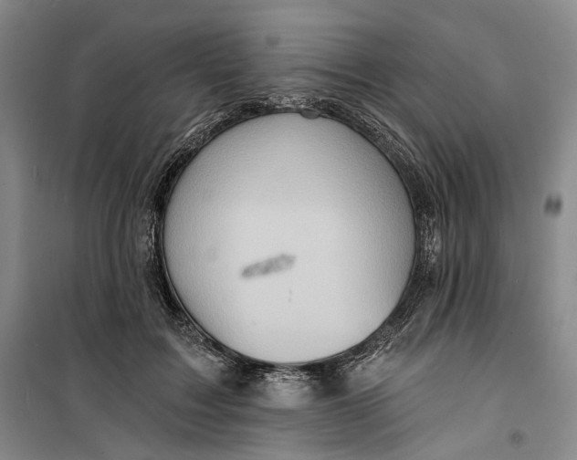 X0000099450603200805301514