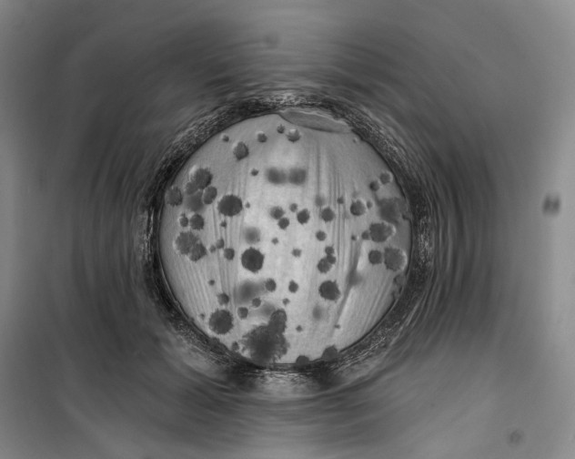 X0000099450605200805301514