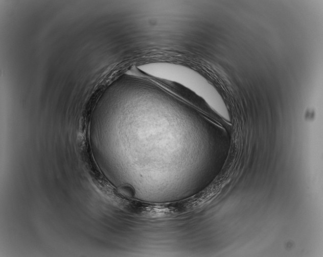 X0000099450607200805301514