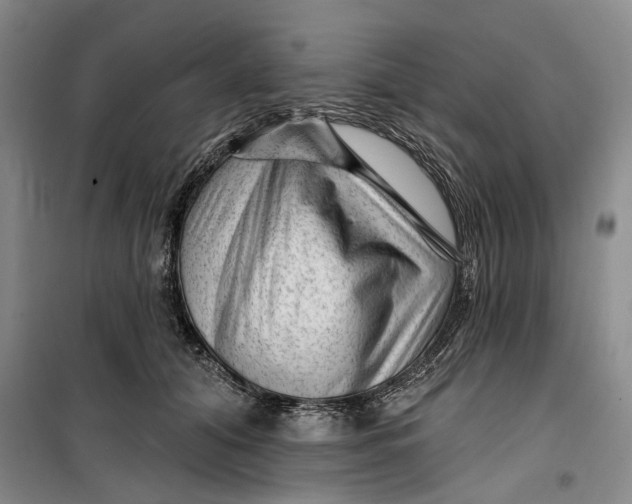 X0000099450608200805301514