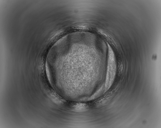 X0000099450609200805301514