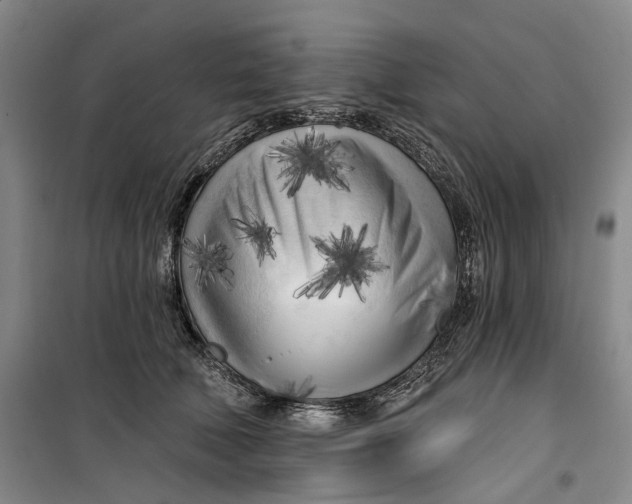 X0000099450610200805301514