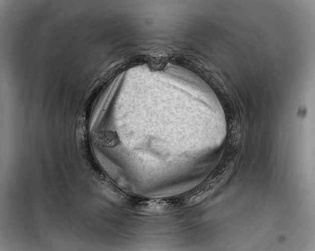 X0000099450612200805301514