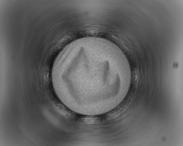 X0000099450615200805301514