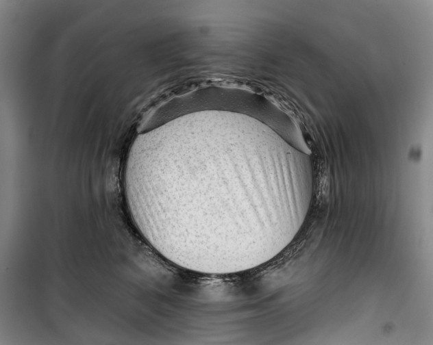 X0000099450616200805301514