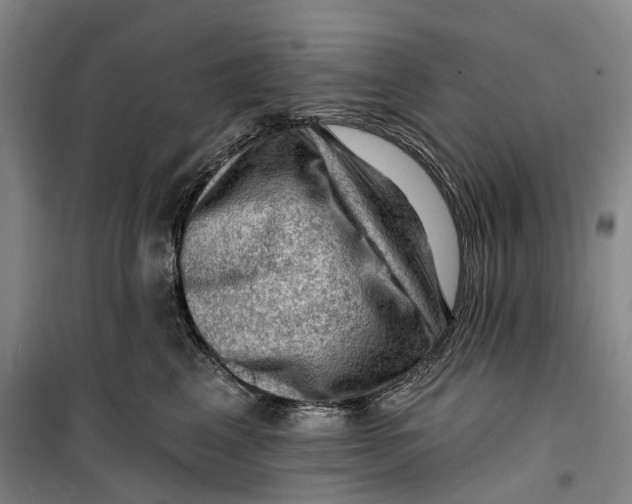 X0000099450617200805301514