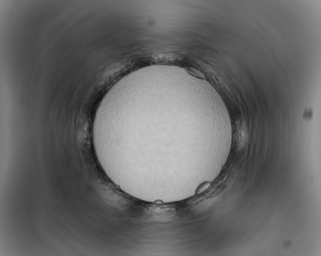 X0000099450619200805301514