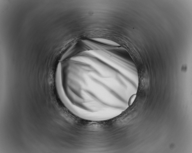 X0000099450620200805301514