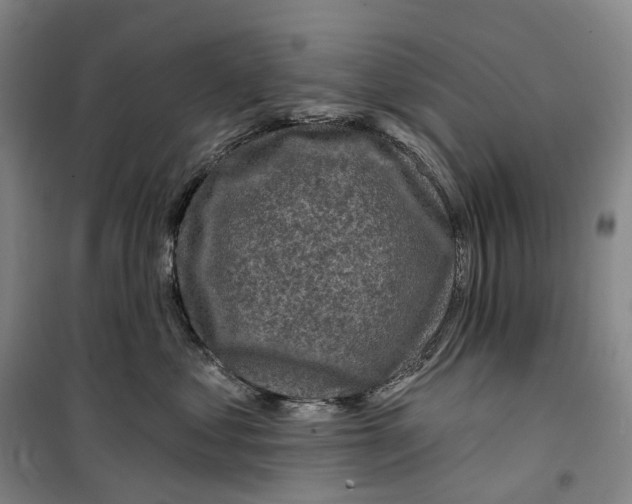 X0000099450621200805301514