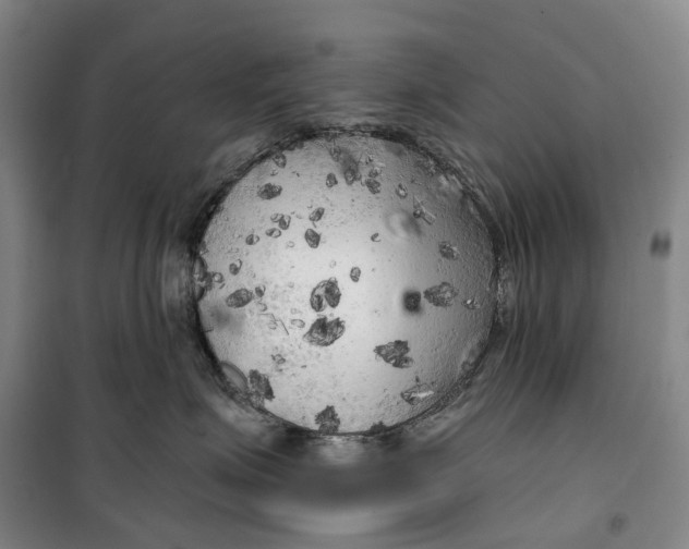 X0000099450623200805301514