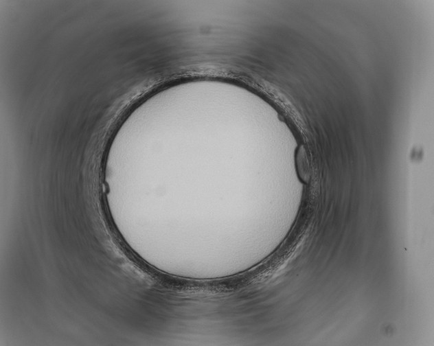 X0000099450625200805301513