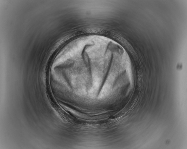 X0000099450626200805301513