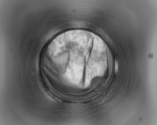 X0000099450627200805301513