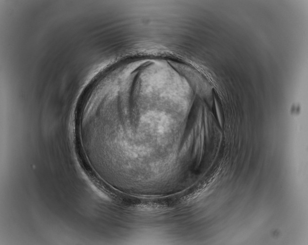 X0000099450630200805301513