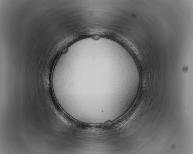 X0000099450633200805301513