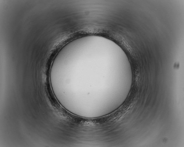 X0000099450635200805301513