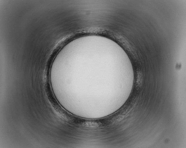 X0000099450636200805301513