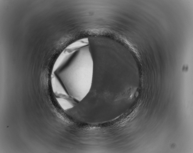 X0000099450637200805301513