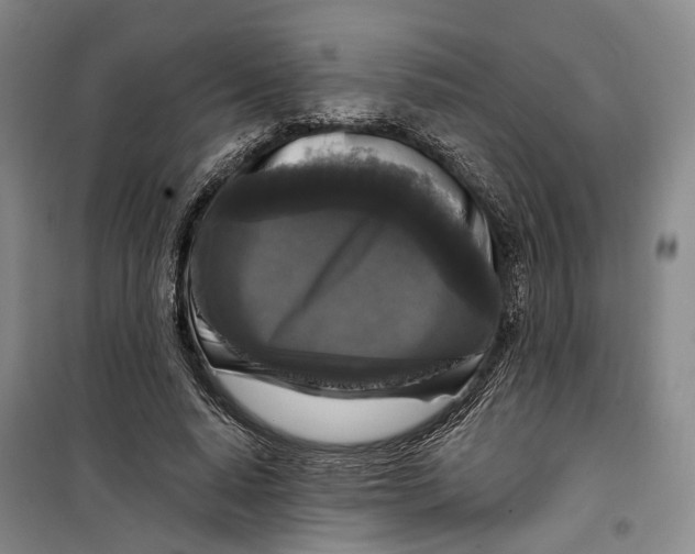 X0000099450640200805301513