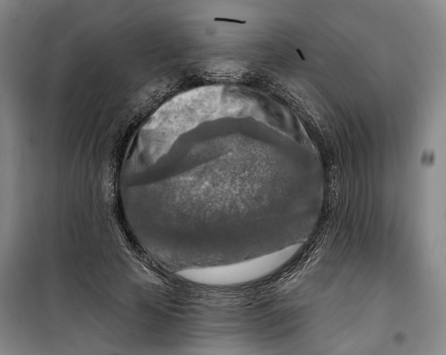 X0000099450641200805301513