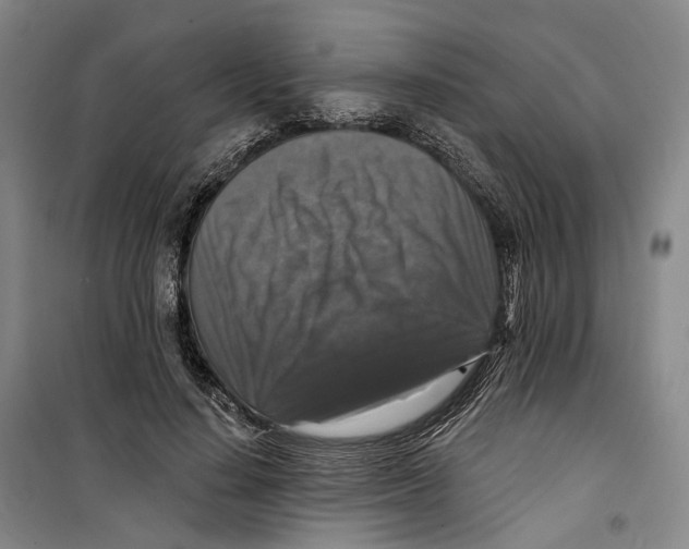 X0000099450644200805301513