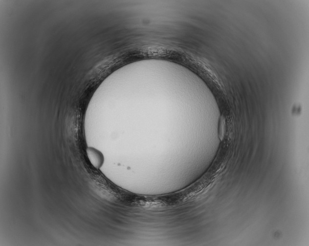 X0000099450645200805301513