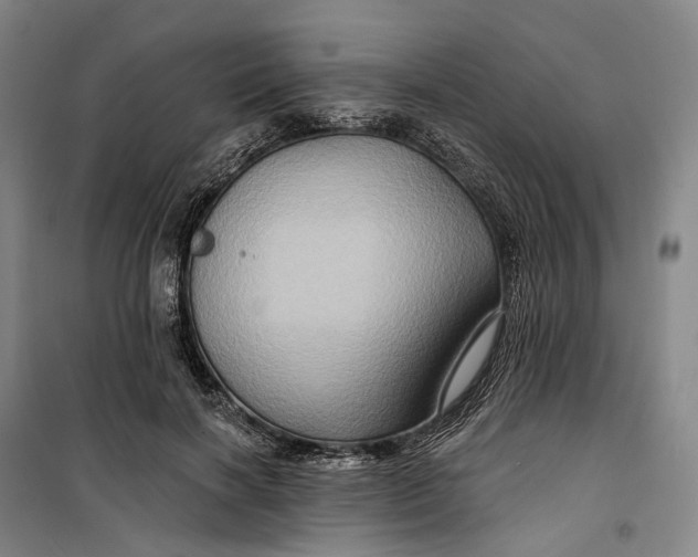 X0000099450646200805301513