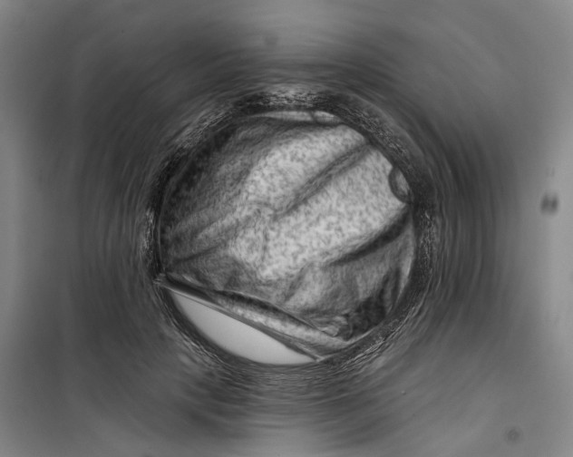 X0000099450649200805301513