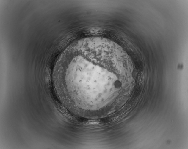 X0000099450651200805301513