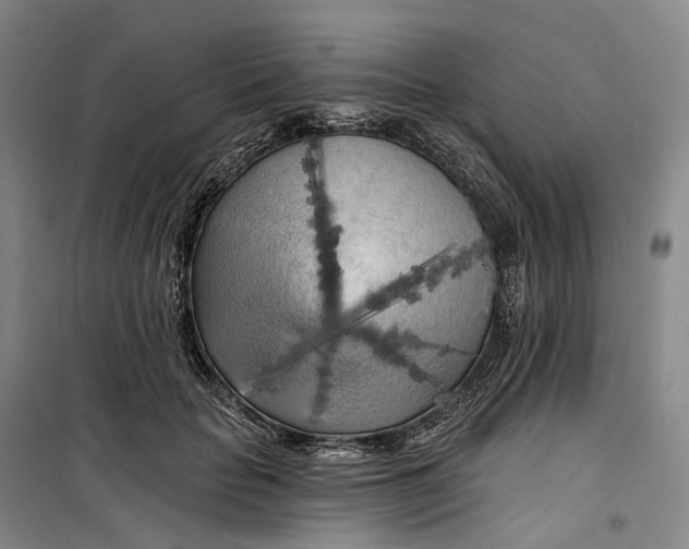 X0000099450653200805301513