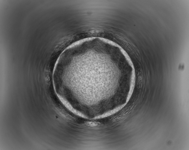 X0000099450654200805301513