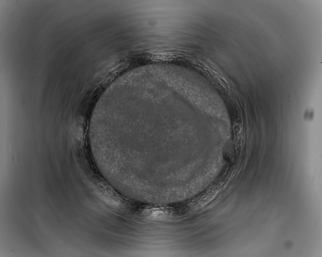 X0000099450655200805301513