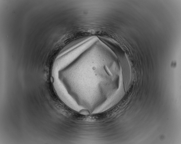 X0000099450656200805301513