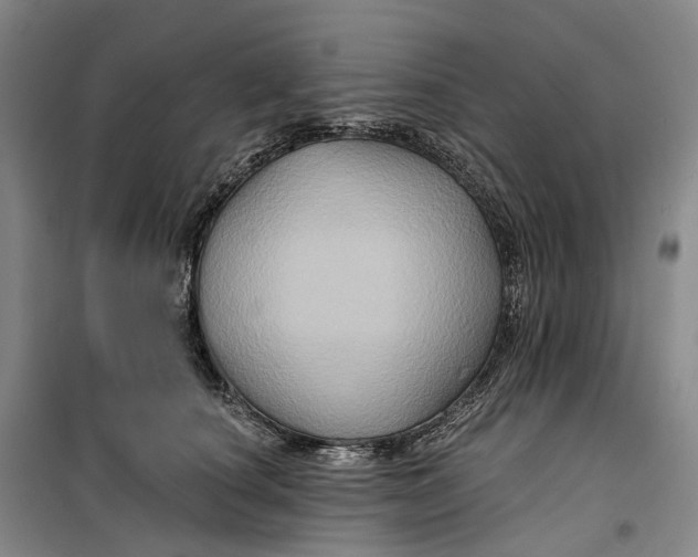 X0000099450660200805301514