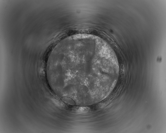 X0000099450663200805301514