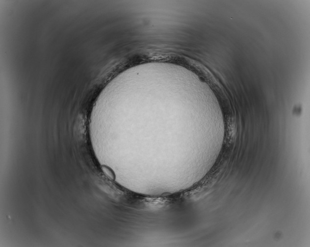 X0000099450667200805301514