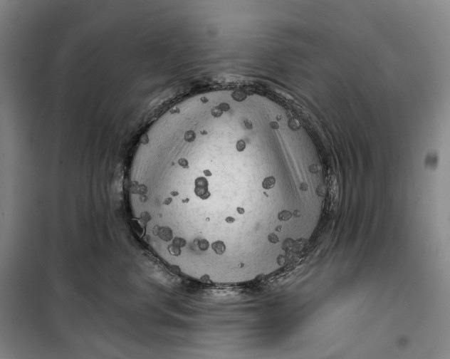 X0000099450668200805301514