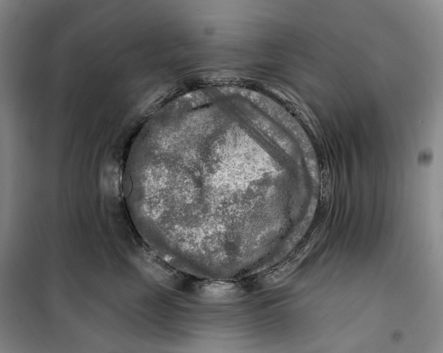 X0000099450669200805301514