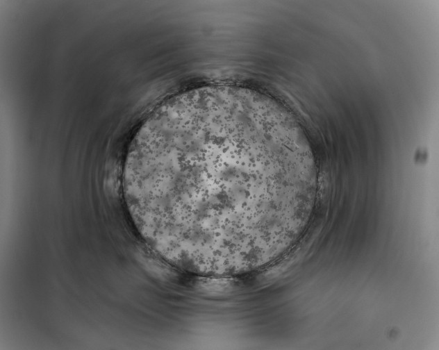 X0000099450671200805301514