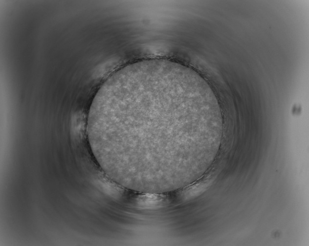 X0000099450672200805301514