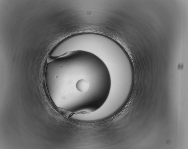 X0000099450673200805301513