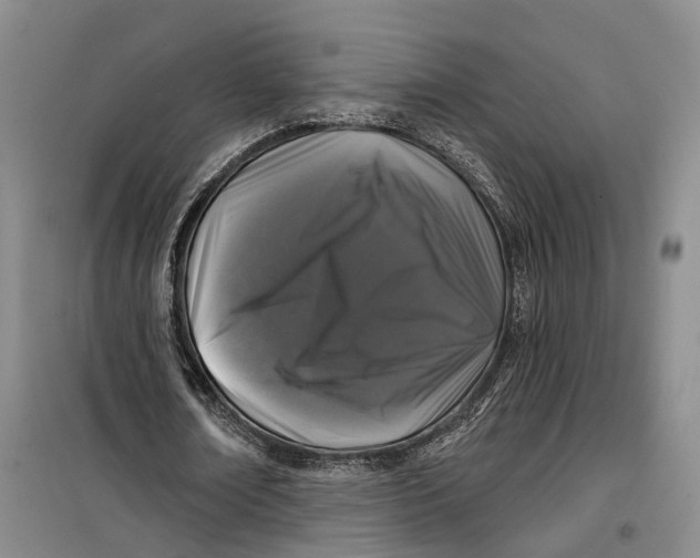 X0000099450674200805301513