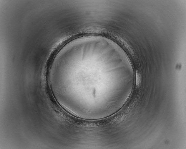 X0000099450675200805301513