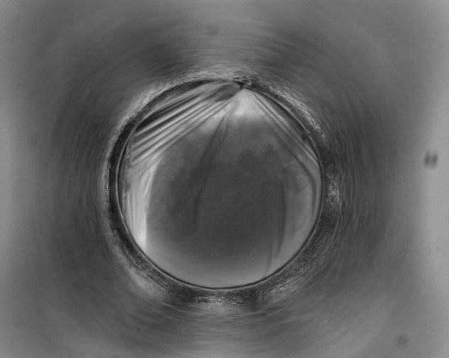 X0000099450678200805301513