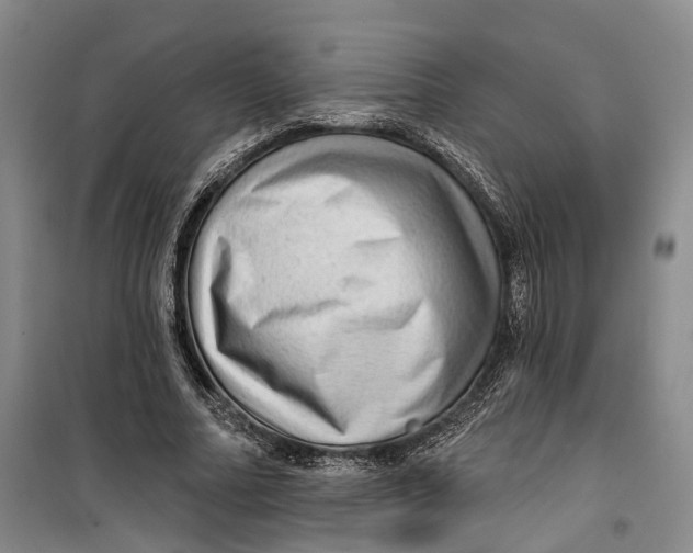 X0000099450682200805301513