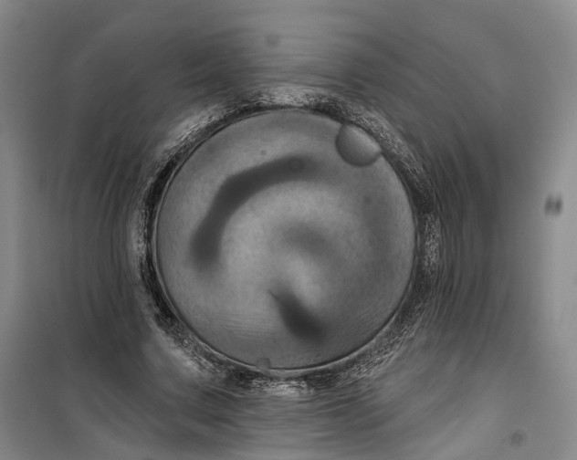 X0000099450683200805301513