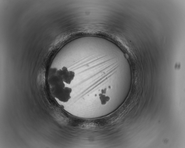 X0000099450685200805301513