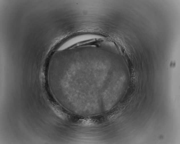 X0000099450688200805301513