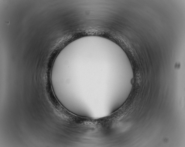 X0000099450690200805301513